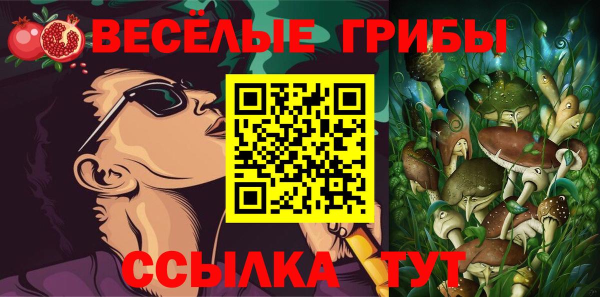 Псилоцибиновые грибы Psilocybine cubensis  Псилоцибиновые грибы прущие грибы  Вход с VPN  Кондопога 
