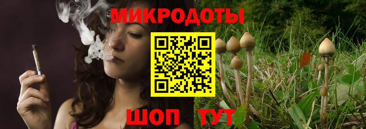 Псилоцибиновые грибы ЛСД Кондопога